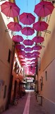 Rue du Safranié STR